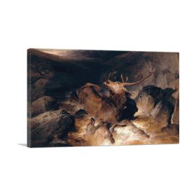 Deer And Deer Hounds In A Mountain Torrent 1832 (Type: Standard Framed Canvas Print, size: 40" x 26" / 100cm x 65cm (approx))