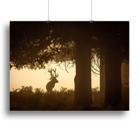 Red deer stag silhouette in forest Canvas Print or Poster (Type: Standard Framed Canvas Print, size: 28" x 20" / 70cm x 50cm (approx))