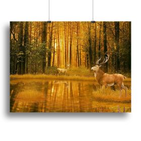 Deer Bucks in summer sunset Canvas Print or Poster (Type: Poster Print, size: 16" x 12" / 42cm x 30cm (approx))