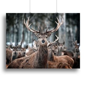 Red Deer Stag and Herd Canvas Print or Poster (Type: Poster Print, size: 24" x 16" / 60cm x 40cm (approx))