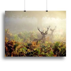 Large red deer stag in mist Canvas Print or Poster (Type: Poster Print, size: 32" x 24" / 80cm x 60cm (approx))