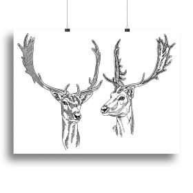 Hand drawn deer heads Canvas Print or Poster (Type: Poster Print, size: 28" x 20" / 70cm x 50cm (approx))