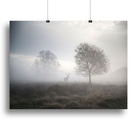 Red deer stag in foggy Autumn landscape Canvas Print or Poster (Type: Poster Print, size: 32" x 24" / 80cm x 60cm (approx))